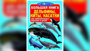Этот день в истории 3